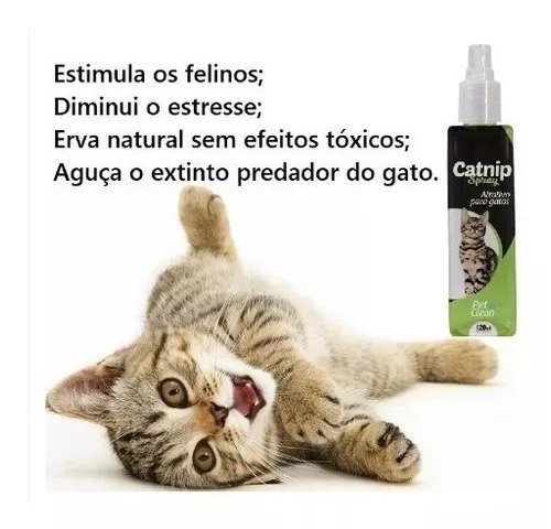 Catnip Erva Gateira Spray Atrativo Para Gato Pet Clean 120ml - Imagem 3